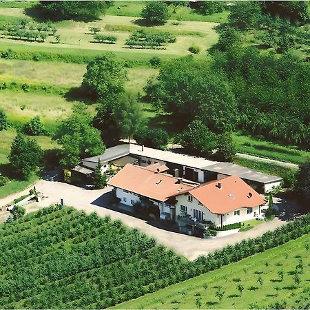 Appartement Weingut Ringwald à Herbolzheim Extérieur photo