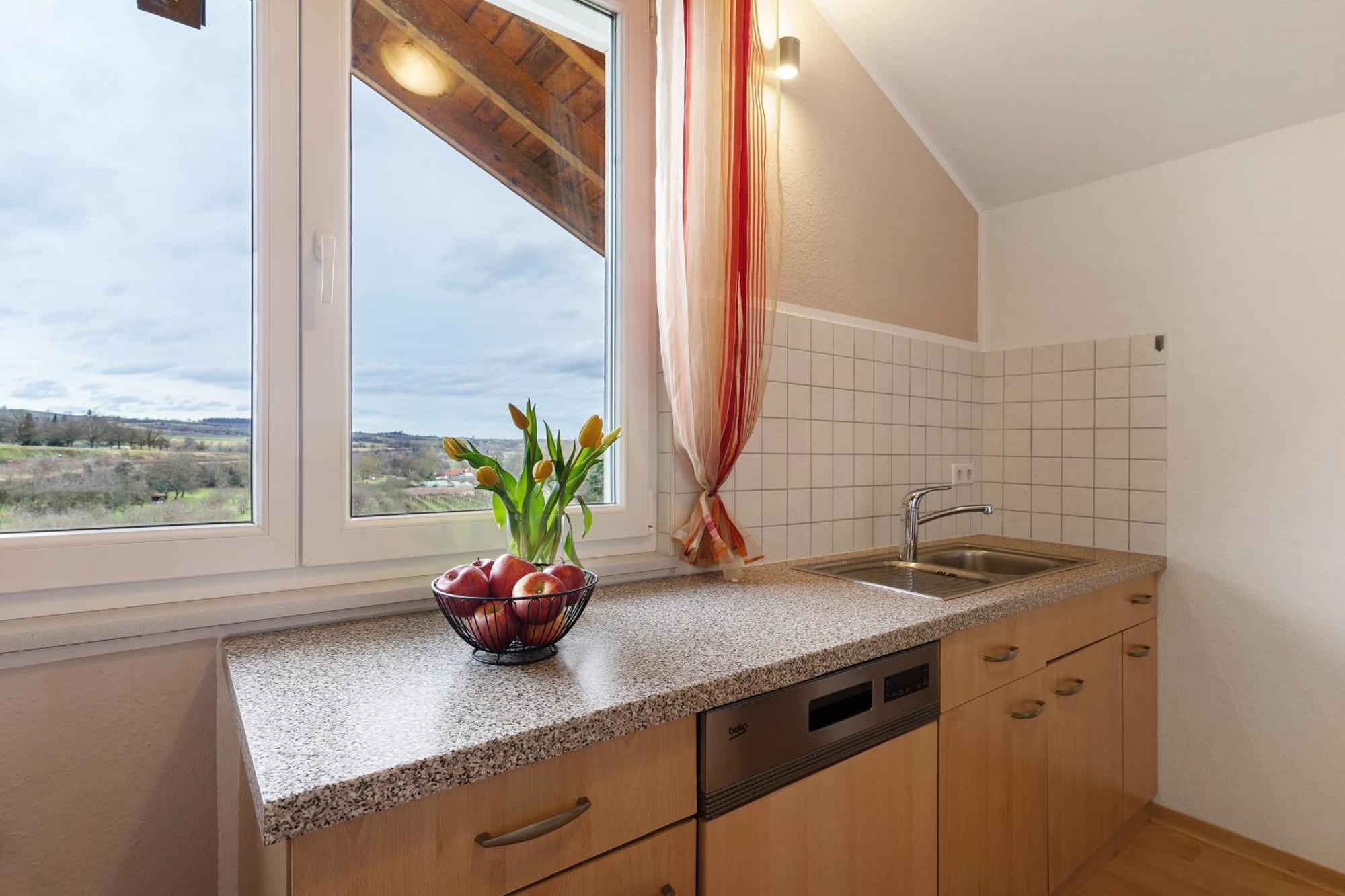 Appartement Weingut Ringwald à Herbolzheim Extérieur photo
