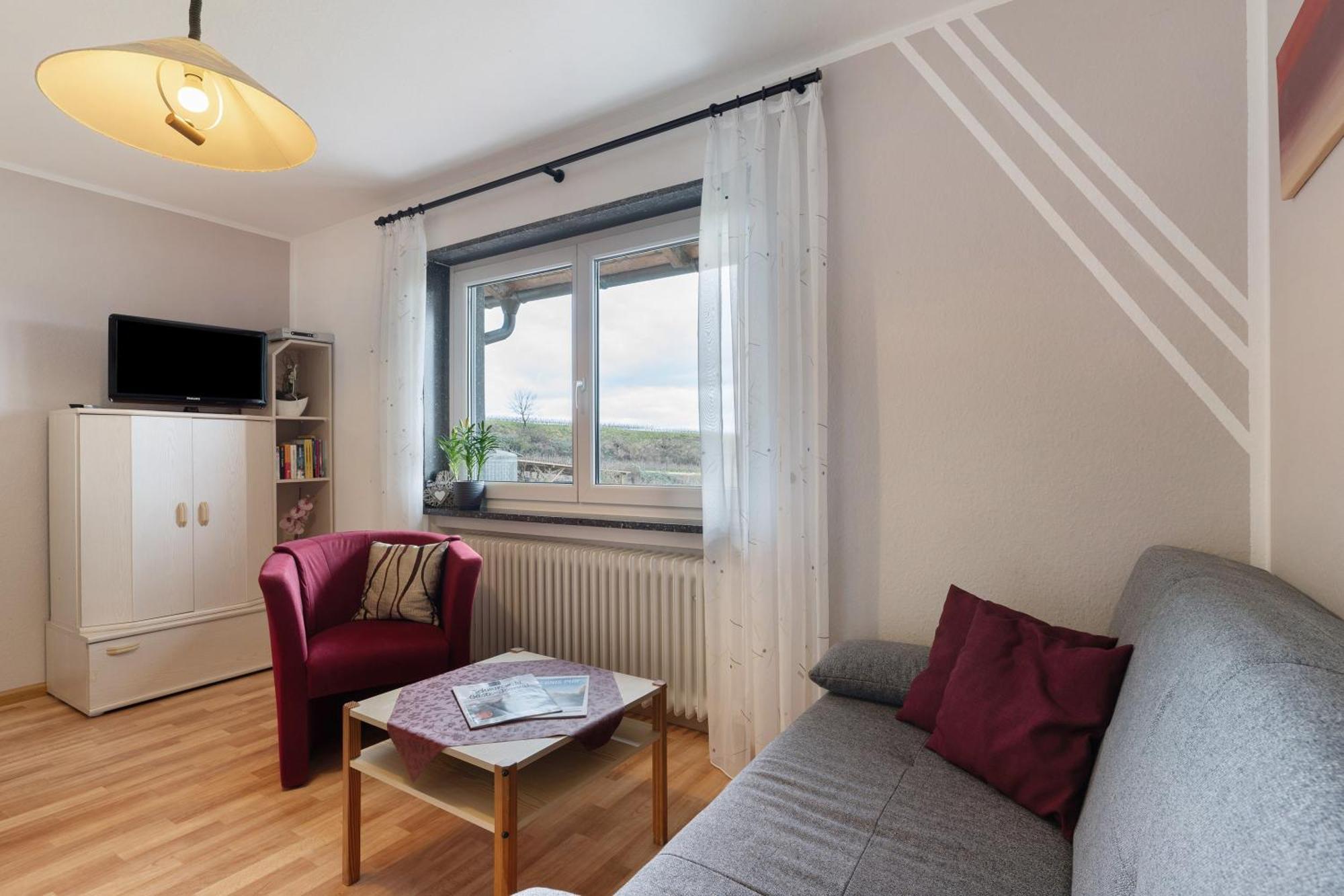 Appartement Weingut Ringwald à Herbolzheim Extérieur photo