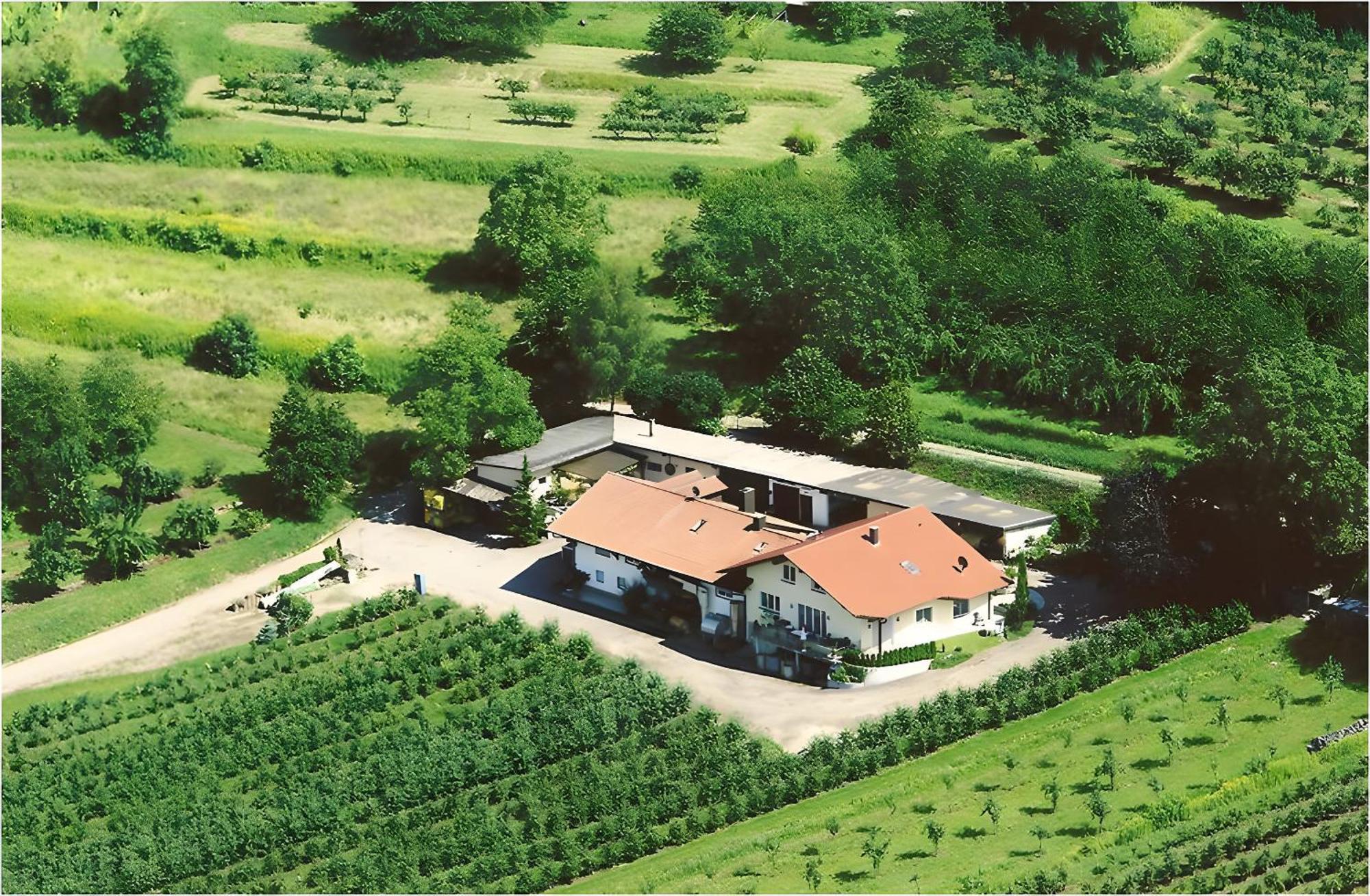 Appartement Weingut Ringwald à Herbolzheim Extérieur photo